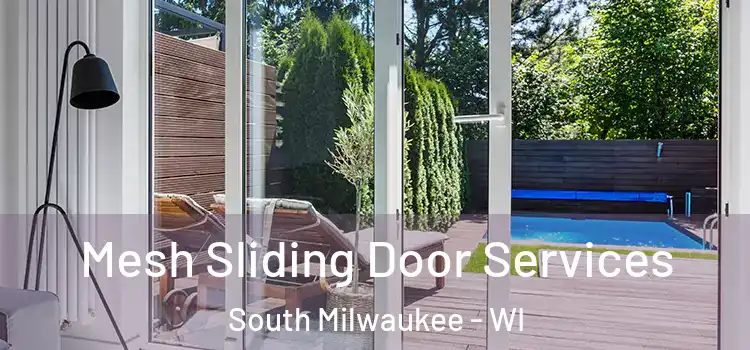 Mesh Sliding Door Services South Milwaukee - WI