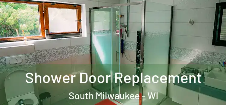 Shower Door Replacement South Milwaukee - WI